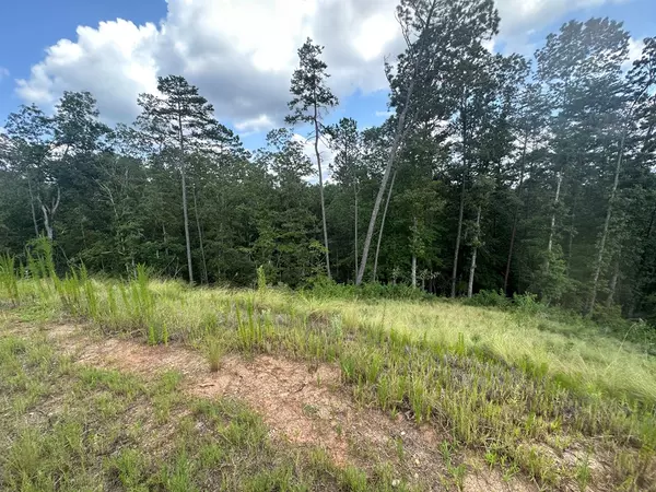 Talking Rock, GA 30175,Lot 244 Spear Point Dr