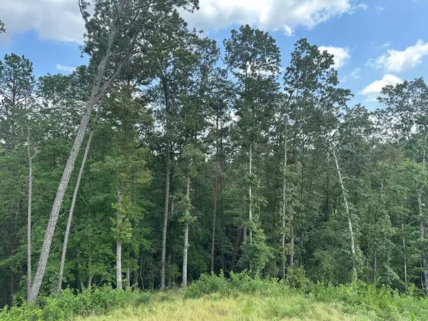 Talking Rock, GA 30175,Lot 244 Spear Point Dr