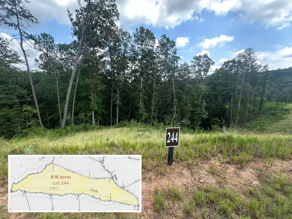 Talking Rock, GA 30175,Lot 244 Spear Point Dr