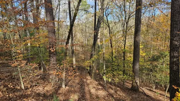 Ellijay, GA 30540,Lot 266 Catawba Circle