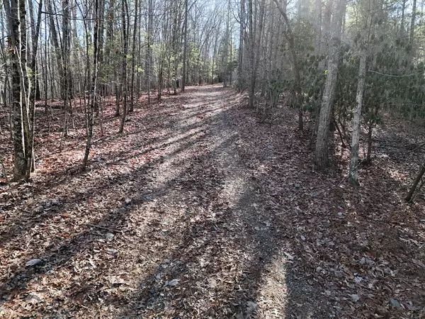 Blairsville, GA 30512,Tract D Carriage Lane Nw