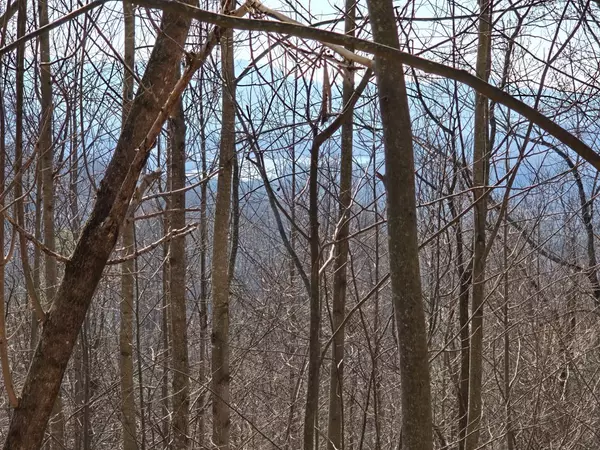 Hayesville, NC 28904,Lot 11 High Meadows