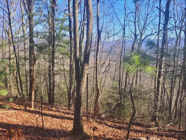 Turtletown, TN 37391,0 Blalock Road