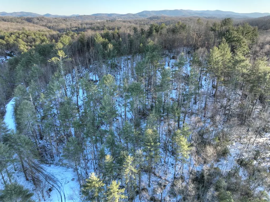 Blue Ridge, GA 30513,000 Jw Way