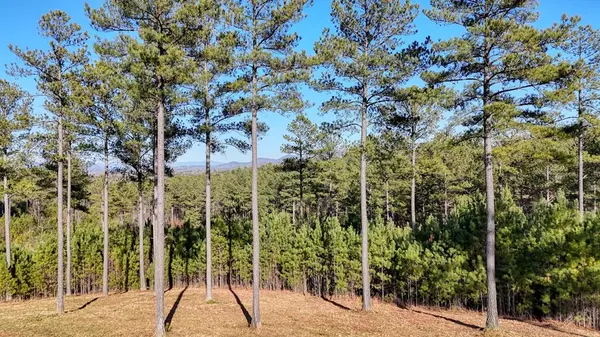 Blairsville, GA 30512,Lot 276 Thirteen Hundred