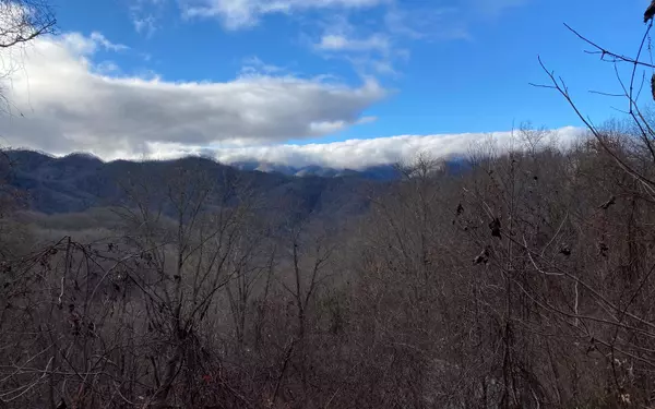 Bryson City, NC 28713,J-2 Georgianna Lane