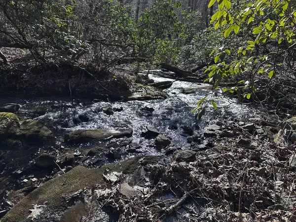 Ellijay, GA 30536,216 St Andrews Way