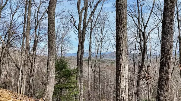 Lot 71 Chicory Drive W, Blairsville, GA 30512