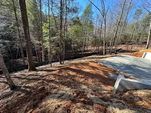 Blue Ridge, GA 30513,Lot 1 Big Creek