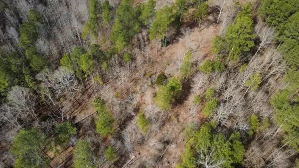Talking Rock, GA 30175,Lot 108 Blalock Mountain Road