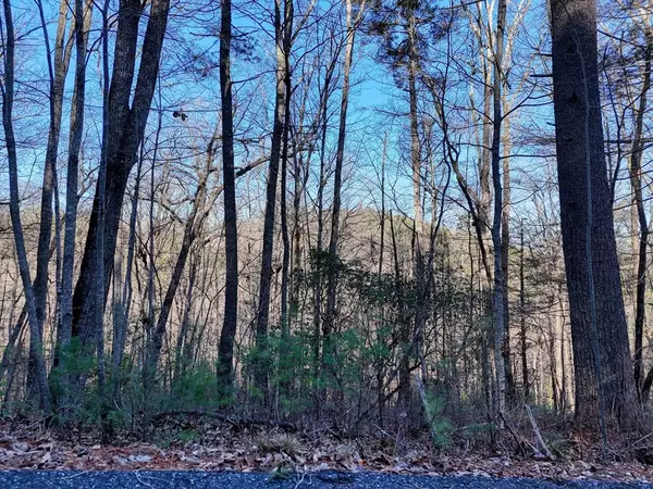 Union, GA 30512,Lot 25 Highland Falls