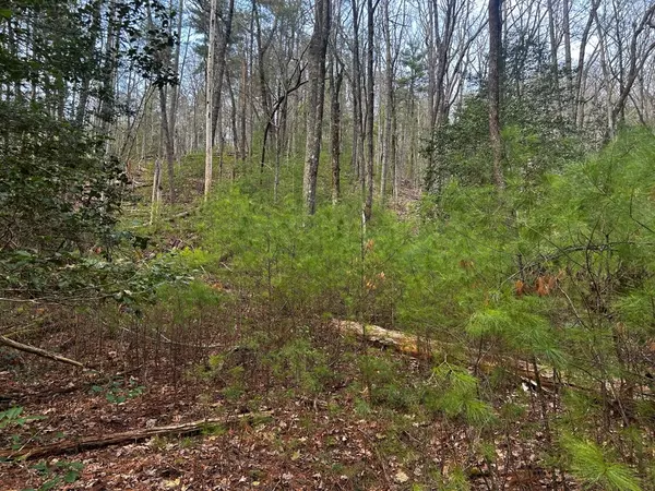 Cleveland, GA 30528,0 Corinth Church Road