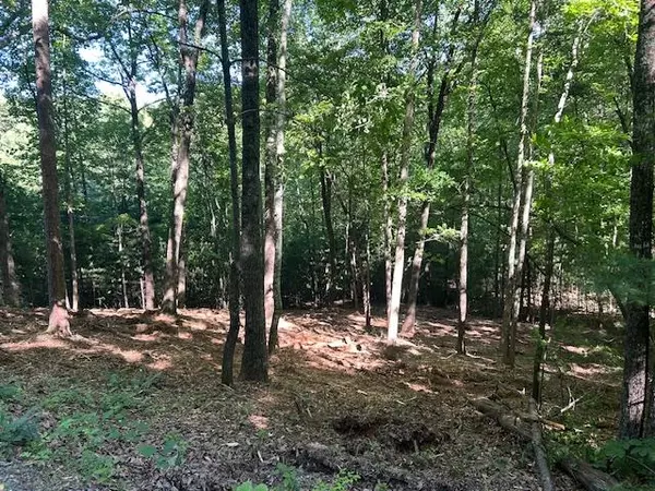Mineral Bluff, GA 30559,Lot 12A Oak Loop