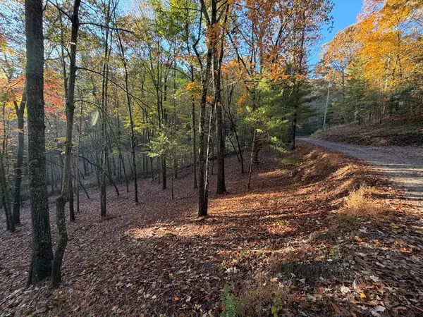 Mineral Bluff, GA 30559,Lot 12A Oak Loop