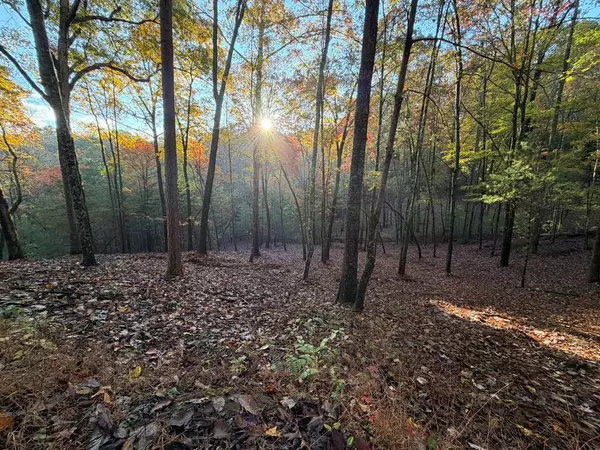 Mineral Bluff, GA 30559,Lot 12A Oak Loop
