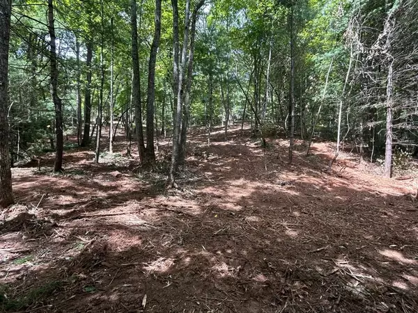Lot 12A Oak Loop, Mineral Bluff, GA 30559