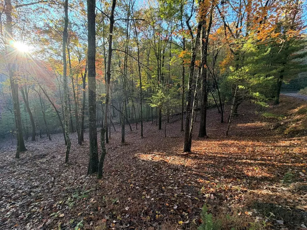Mineral Bluff, GA 30559,Lot 12A Oak Loop