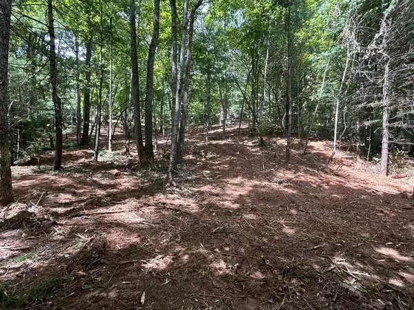 Mineral Bluff, GA 30559,Lot 12A Oak Loop