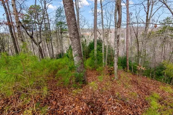 Ellijay, GA 30540