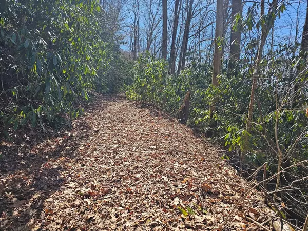 Andrews, NC 28901,Lot 16 Warrior Way