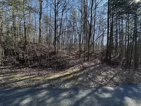 Ellijay, GA 30536,57 St Andrews Way