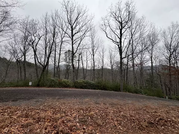 Hiawassee, GA 30546,Address not disclosed