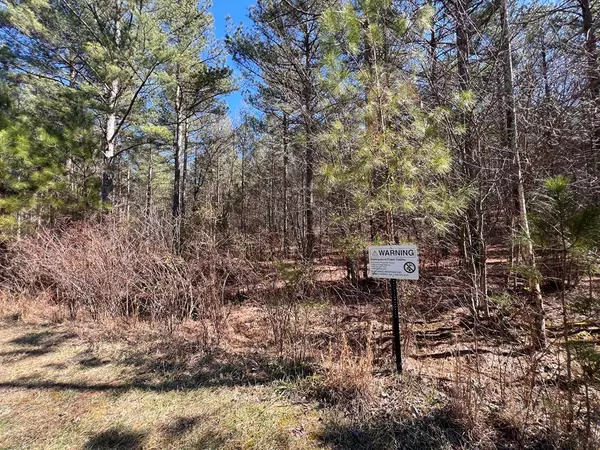 Blairsville, GA 30512,Lot 50 Deyton Drive
