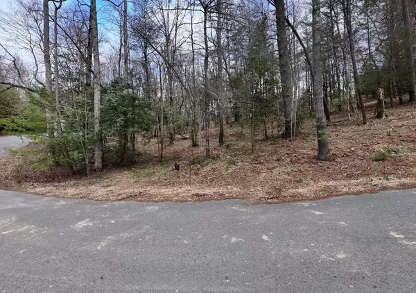 Blairsville, GA 30512,LOT 14 Fiddlers Cove
