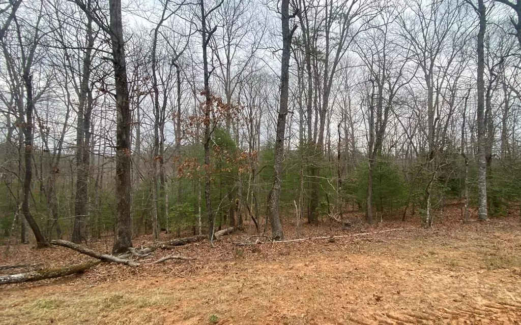 Blairsville, GA 30512,Lot 8 Tomahawk Trail