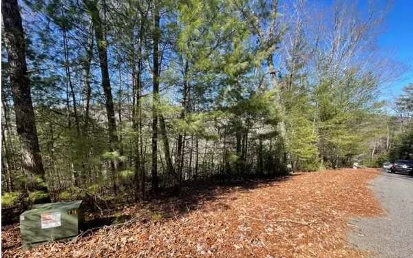 Suches, GA 30572,LT 43 Ridge View Way