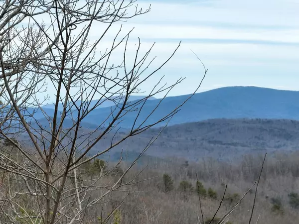 Ellijay, GA 30536,235 Andes Ridge