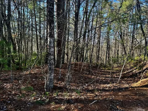 0 Shuler Mountain Road, Murphy, NC 28906