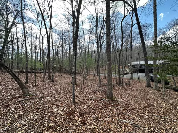 Blue Ridge, DC 20513,Lot 19 Black Oak Road