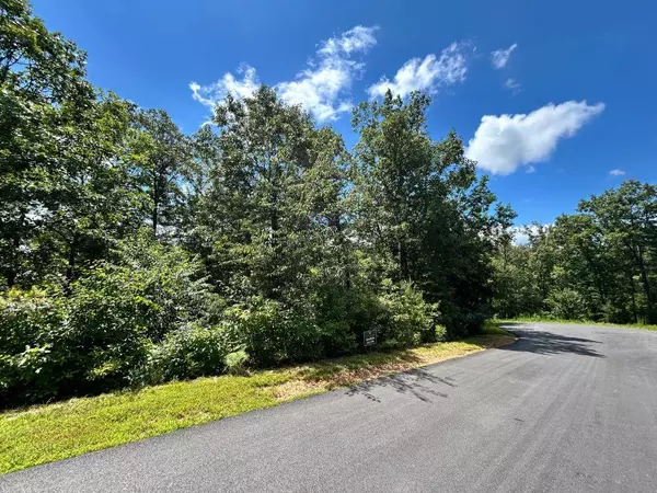 Mineral Bluff, GA 30559,Lot 196 Trails End Way