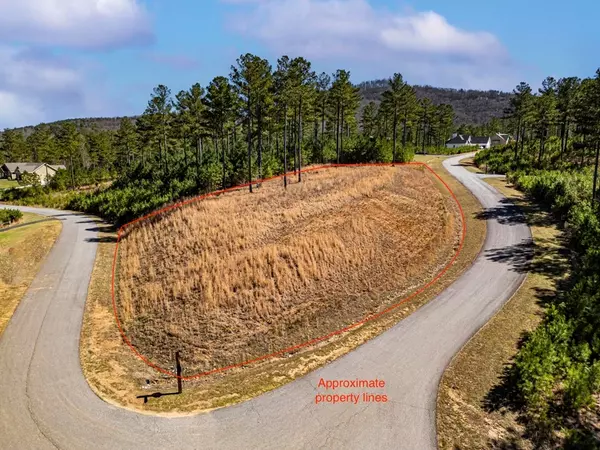 Blairsville, GA 30512,0 Loop Lane