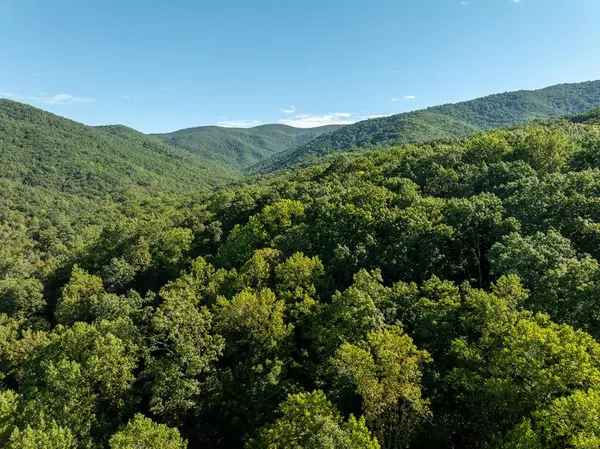 Ellijay, GA 30536,Lot 18 Wilderness Way