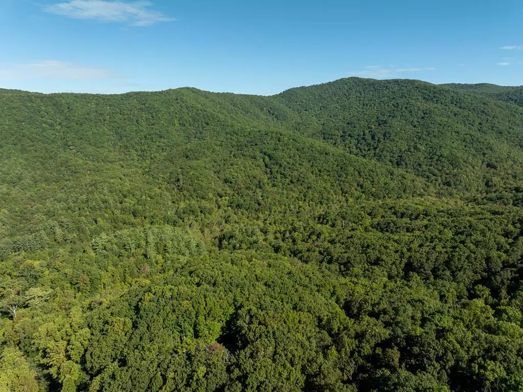 Ellijay, GA 30536,Lot 18 Wilderness Way