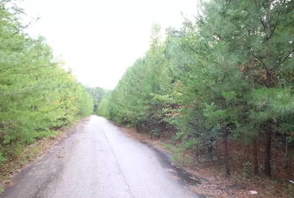 Braswell, GA 30153,53 Skyline Drive