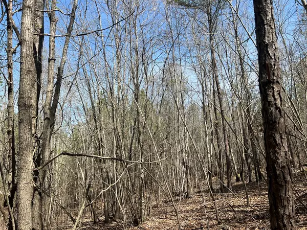 Rome, GA 30161,16 Unbridled Road