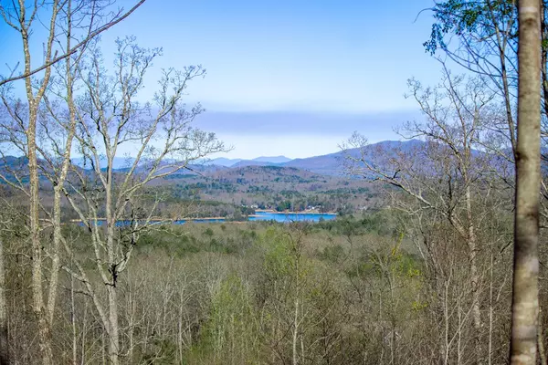 Blairsville, GA 30512,41AC Loving Road