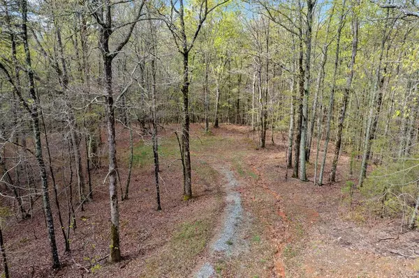 287 Lookout Valley Trail, Talking Rock, GA 30175