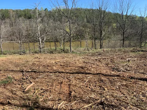 Mineral Bluff, GA 30559,00 Cutcane Road