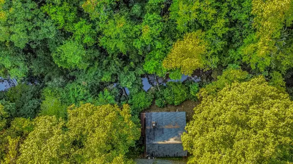Blue Ridge, GA 30513,416 Millstone Mountain