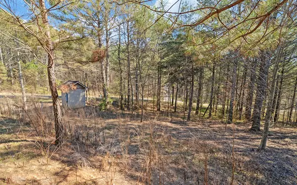 Ellijay, GA 30540,L 29&30 Eastside Drive