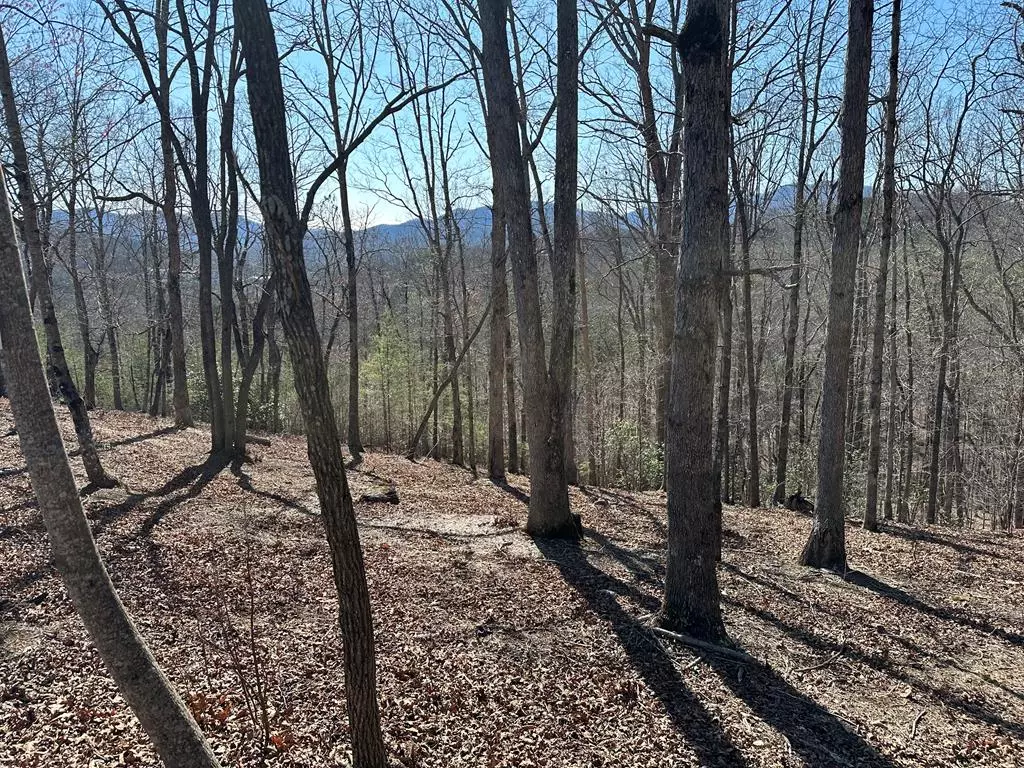 Young Harris, GA 30582,Lot 55 Asheland Cove
