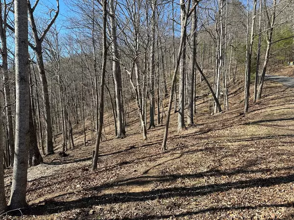 Young Harris, GA 30582,Lot 55 Asheland Cove