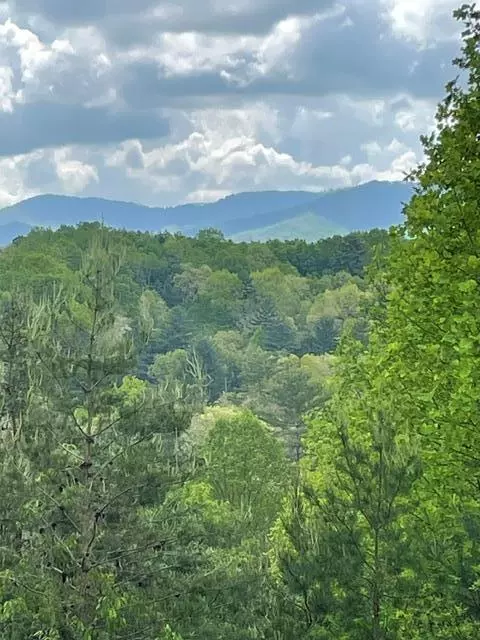 Turtletown, TN 37391,554 Rocky Ford Road