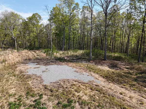 Ellijay, GA 30540,Lot 20 Blalock Mountain Road