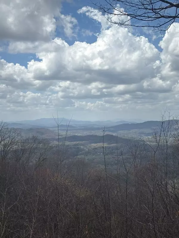Murphy, NC 28906,Lot 45 Timberwood Drive