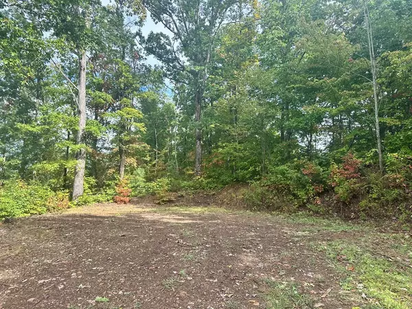 Murphy, NC 28906,Lot 45 Timberwood Drive